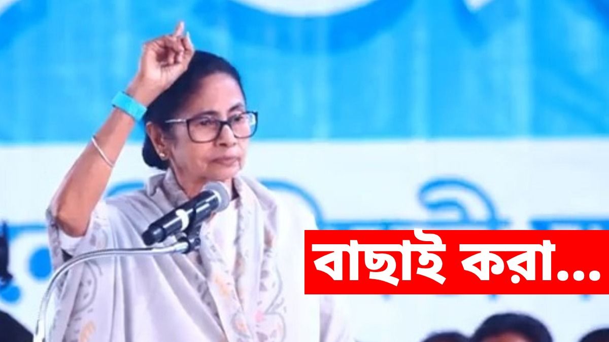 দুঃশাসন, দুর্যোধন, হ্যাংলাবাবু, শকুনিমামা... শাহকে নিশানায় মমতার 'শব্দকল্পদ্রুম'