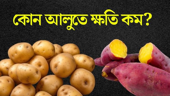 আলু, মিষ্টি আলু