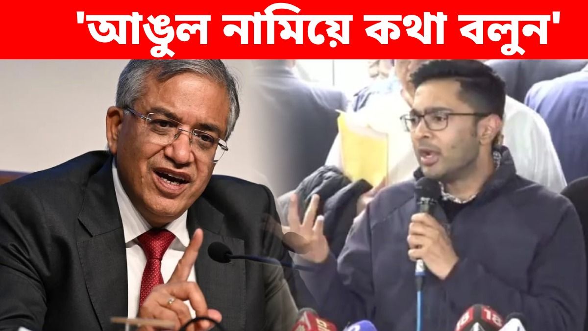 কমিশন থেকে বেরিয়ে আর কী অভিযোগ অভিষেকের?