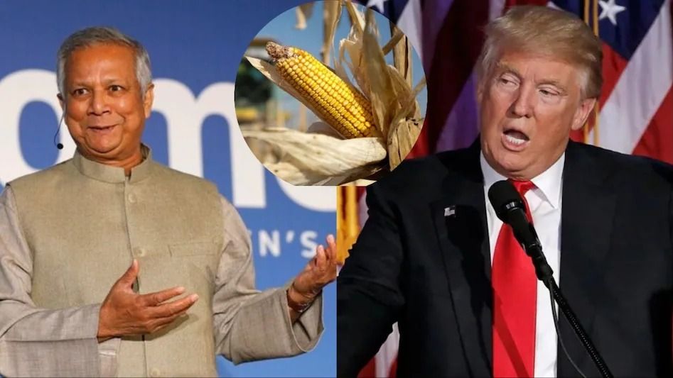 ভুট্টা বিতর্ক