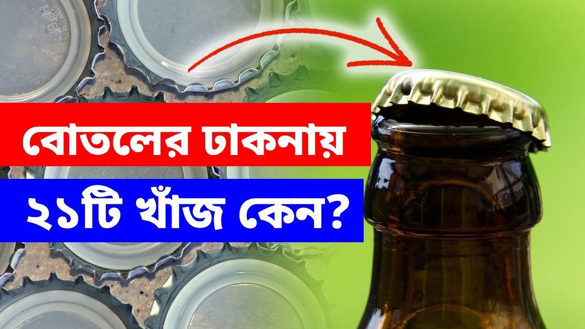 বিয়ারের বোতলে ২১টি খাঁজ কেন থাকে? এই রহস্য জানেন না অনেকেই