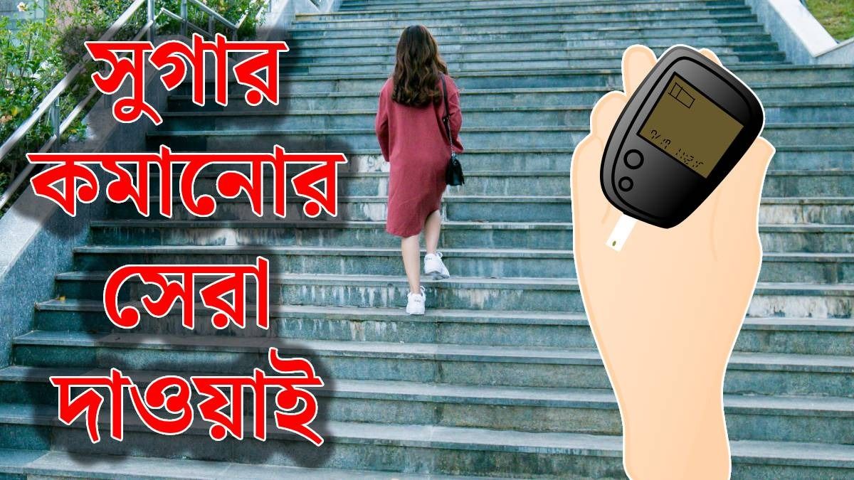 নতুন বছরে দেদার খেয়েও বাড়বে না সুগার, 'চিট কোড' দিলেন ডাক্তার
