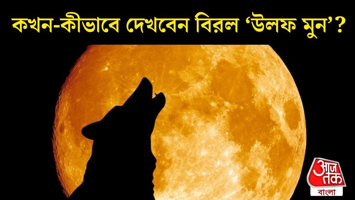 প্রতীকী ছবি 