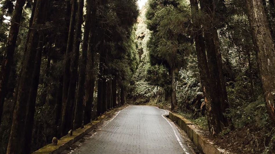 তিন মাস পর খুলল শিলিগুড়ি-দার্জিলিং মূল সড়ক, পাহাড়মুখী পর্যটকদের বড় স্বস্তি তিন মাস পর খুলল শিলিগুড়ি-দার্জিলিং মূল সড়ক, পাহাড়মুখী পর্যটকদের বড় স্বস্তি