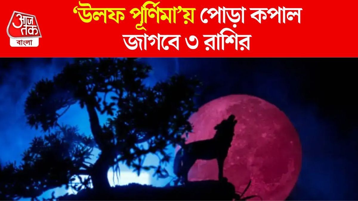 উলফ পূর্ণিমায় ভাগ্য ফিরবে কাদের?