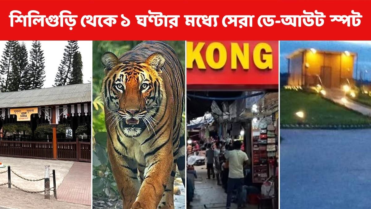 শিলিগুড়ি থেকে এক ঘণ্টার মধ্যে পিকনিক কিংবা ডে-আউট, সেরা ১০ জায়গা