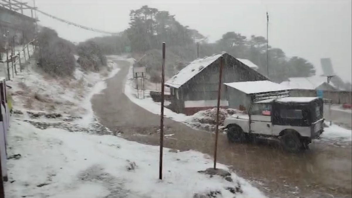 বছরের প্রথম তুষারপাত সান্দাকফুতে, উচ্ছ্বসিত পর্যটকরা