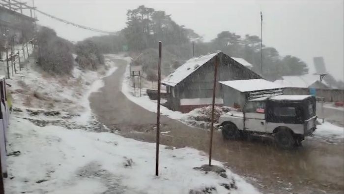 Snowfall at Sandakphu