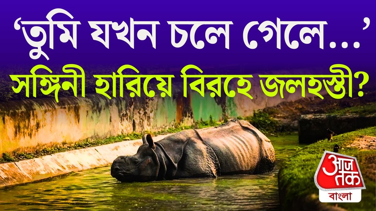 জলহস্তির স্বাস্থ্য নিয়ে গভীর উদ্বেগ চিড়িয়াখানা কর্তৃপক্ষ।-গ্রাফিক্স