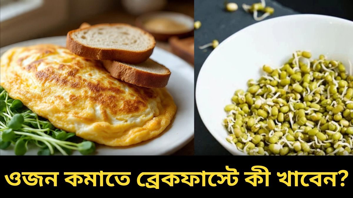 ব্রেড অমলেট না স্প্রাউটস: ওজন কমাতে ব্রেকফাস্টে কী খাবেন? 