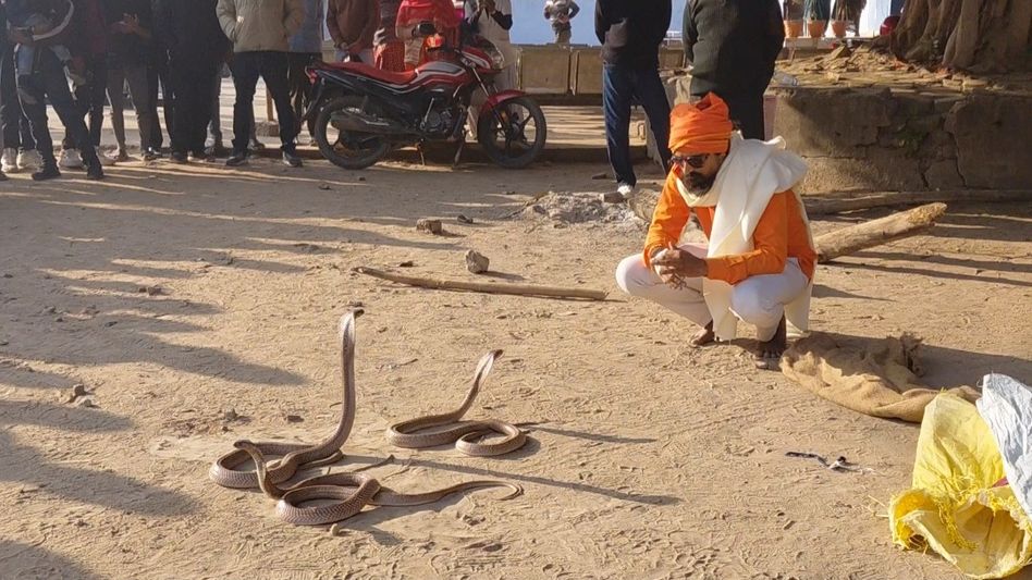 সাপের কামড় খেয়ে ৩টি বিষধর গোখরো নিয়ে হাসপাতালে হাজির যুবক, তারপর... সাপের কামড় খেয়ে ৩টি বিষধর গোখরো নিয়ে হাসপাতালে হাজির যুবক, তারপর...