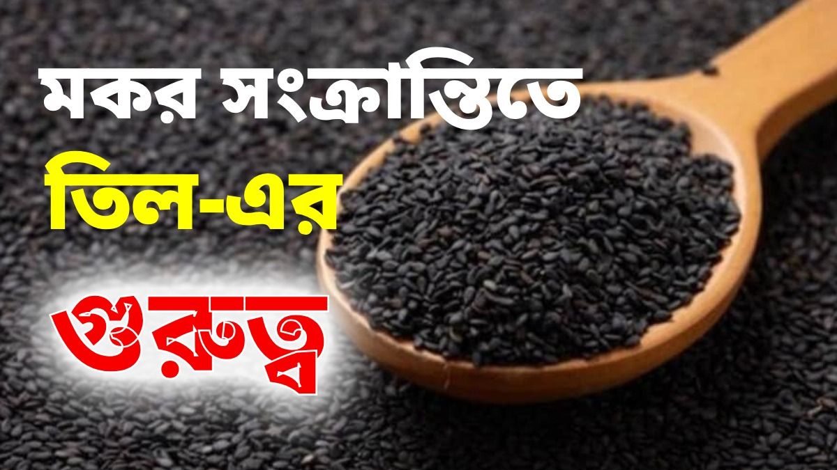 মকর সংক্রান্তিতে কালো তিলের গুরুত্ব অপরিসীম, কারণ জানেন?