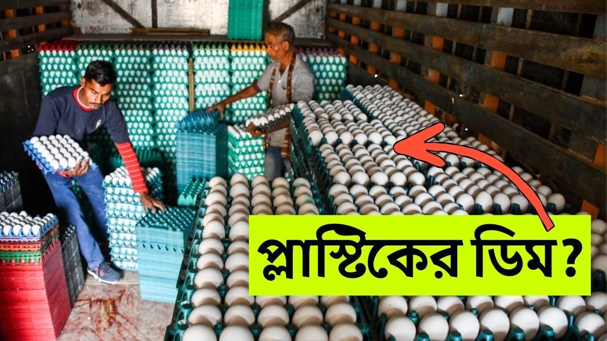 সামনে চলে এল 'প্লাস্টিক ডিম'-এর সত্যি, বাড়িতেই কীভাবে পরীক্ষা করবেন? 