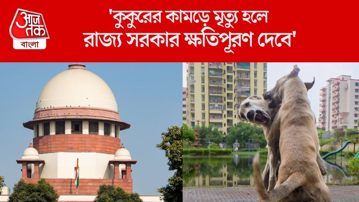  'ওদের খাওয়ালে, বাড়িতেও নিয়ে গিয়ে রাখুন,' পথকুকুর মামলায় একাধিক মন্তব্য সুপ্রিম কোর্টের