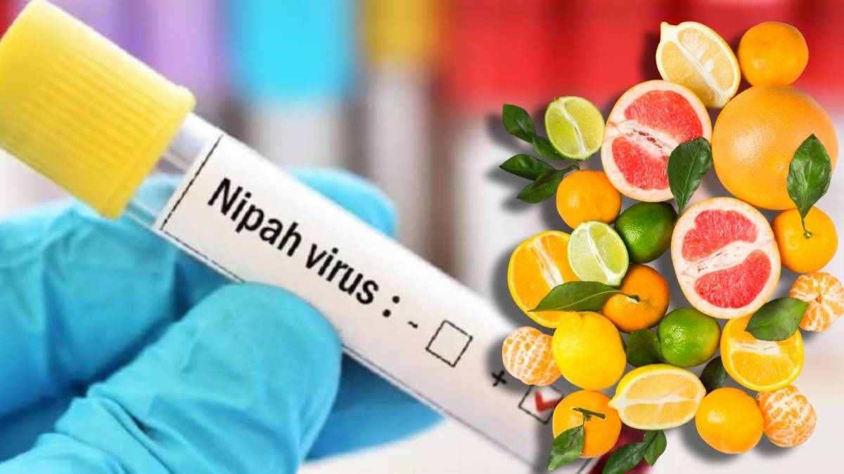 বিপদ বাড়াচ্ছে নিপা, ইমিউনিটি চাঙ্গা রাখুন এই ৫ খাবার খেয়ে