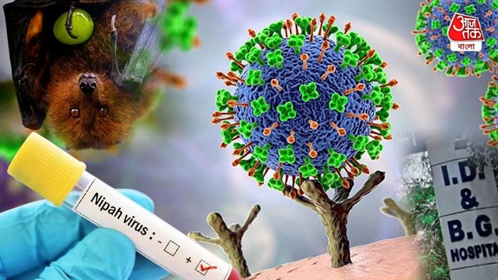 নিপা ভাইরাসের আতঙ্ক রাজ্য়ে।-ফাইল ছবি