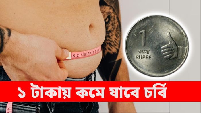 মাত্র ১ টাকায় কমে যাবে পেটের চর্বি