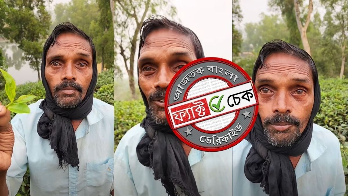ফ্যাক্ট চেক: চা বাগানে ৮ ঘণ্টা কাজ করে ১৭৮ টাকা রোজগারের ভিডিওটি ভারতের নয়, বাংলাদেশের