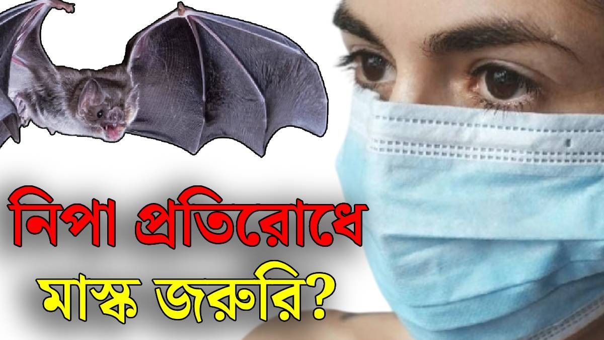 নিপা থেকে বাঁচাবে মাস্ক