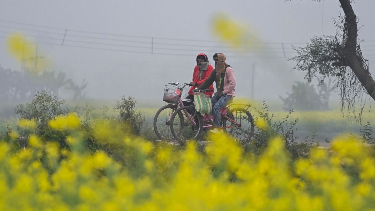 শীতের সকাল।-ফাইল ছবি