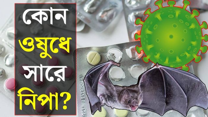 নিপার ওষুধ