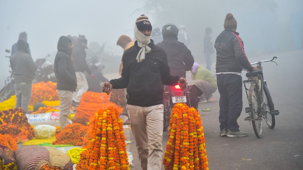 চড়া রোদে গায়েব উত্তুরে হাওয়া, সরস্বতী পুজোয় কেমন শীত?