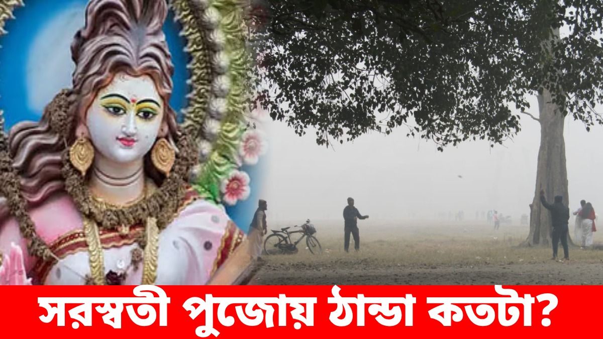 সরস্বতী পুজোয় জাঁকিয়ে শীত, নাকি বাড়বে তাপমাত্রা? জানুন আবহাওয়ার লেটেস্ট আপডেট