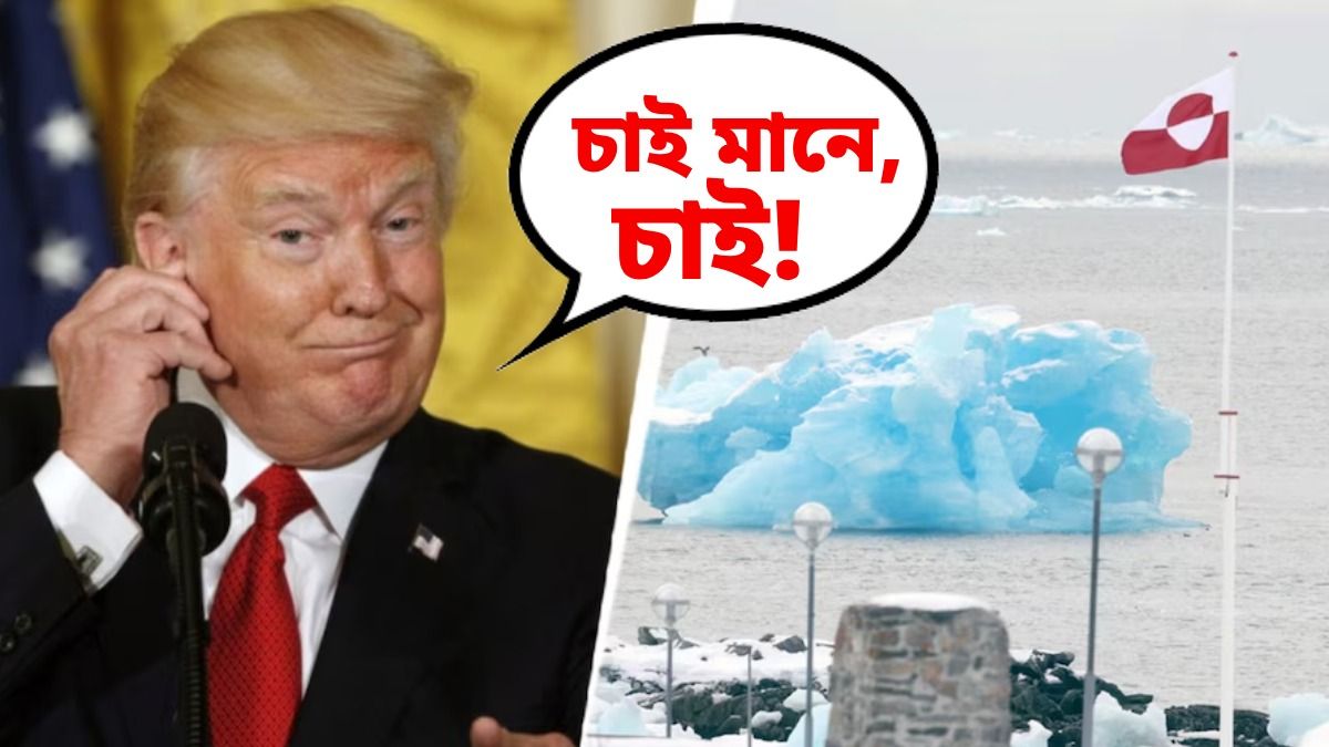 ডেনমার্ক-সহ ৮ দেশের উপর শুল্ক আরোপ আমেরিকার