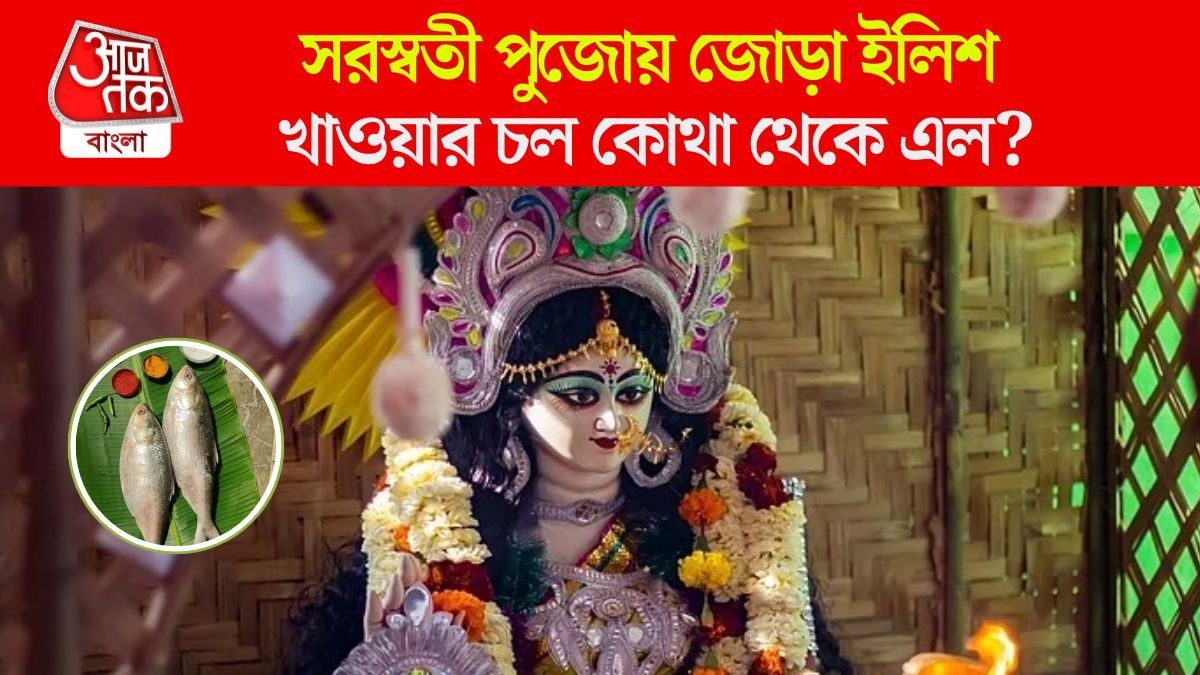 সরস্বতী পুজোয় জোড়া ইলিশ খাওয়ার চল, কোথা থেকে এল এই রীতি?
