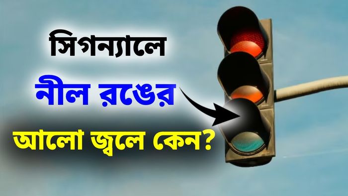 সিগন্যালে হঠাৎ নীল আলো জ্বললে কী করতে হয়?