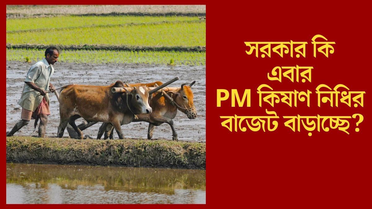  বাজেটে বাড়ছে PM কিষাণের টাকা? ফেব্রুয়ারির নতুন কিস্তিতে কত পেতে পারেন চাষিরা