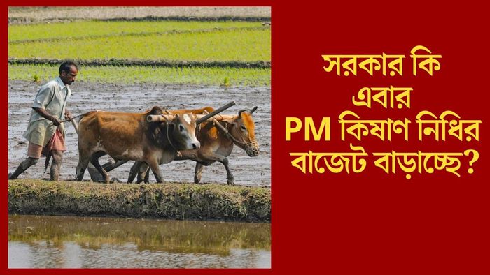 সরকার কি এবার PM কিষাণ নিধির বাজেট বাড়াচ্ছে?