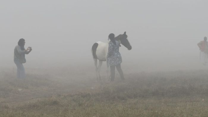 কলকাতা-সহ রাজ্যজুড়ে কুয়াশার দাপট