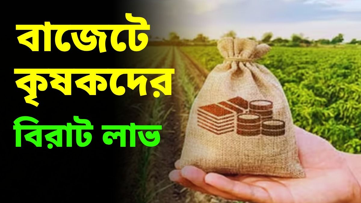 ২০২৬ বাজেটে বড় স্বস্তি পেতে পারেন কৃষকেরাও