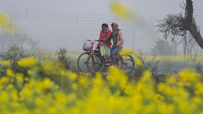 সকালের কুয়াশা।-ফাইল ছবি