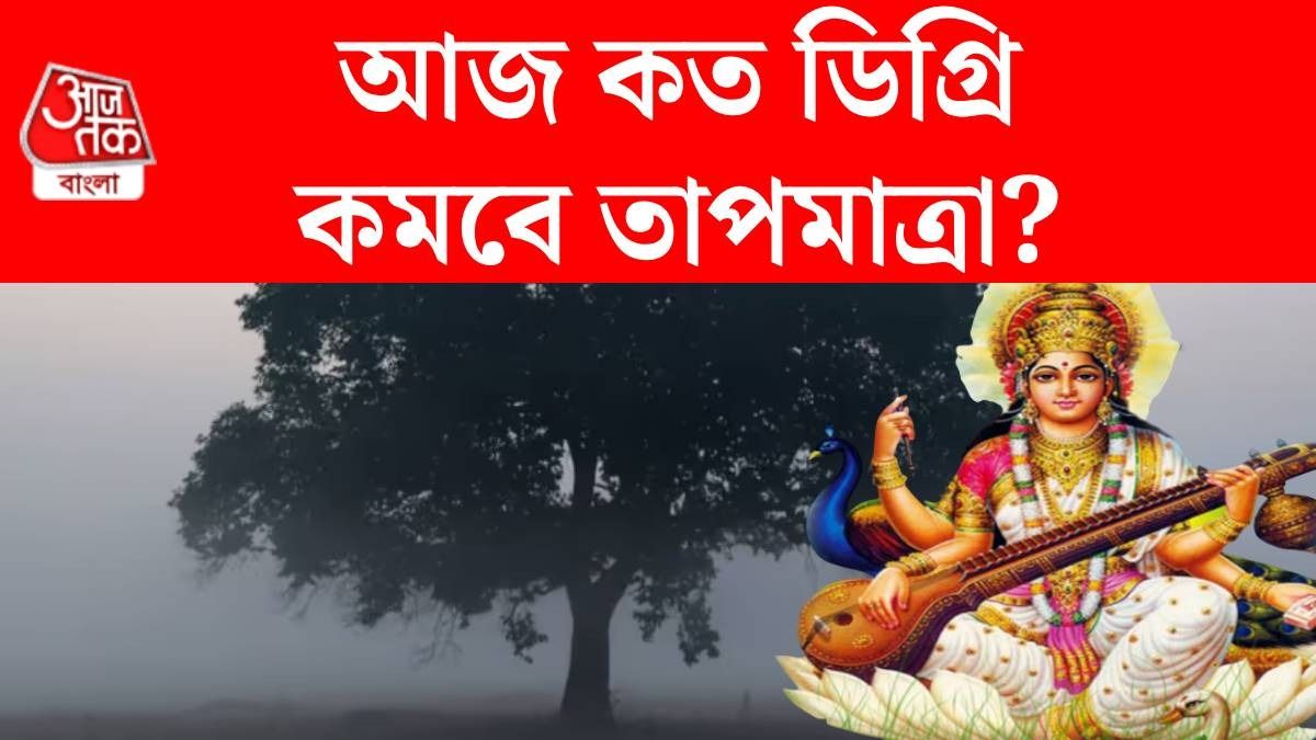 সরস্বতী পুজোয় কমছে তাপমাত্রা, শীত নিয়ে হাওয়া অফিসের বড় দাবি