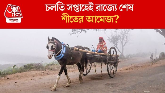চলতি সপ্তাহেই রাজ্যে শেষ শীতের আমেজ?