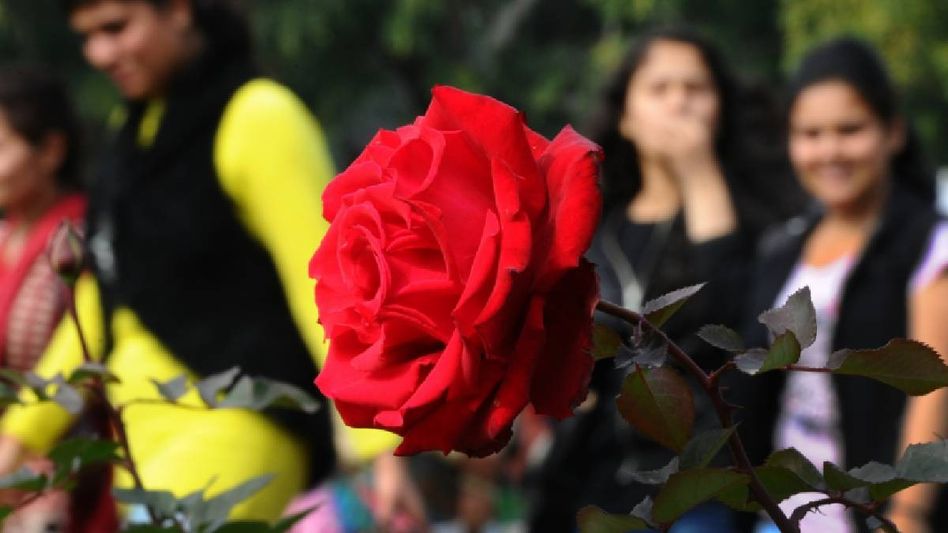 কবে Hug, কবে Kiss? এ বছর ভ্যালেন্টাইন্স সপ্তাহের পুরো সূচি কবে Hug, কবে Kiss? এ বছর ভ্যালেন্টাইন্স সপ্তাহের পুরো সূচি