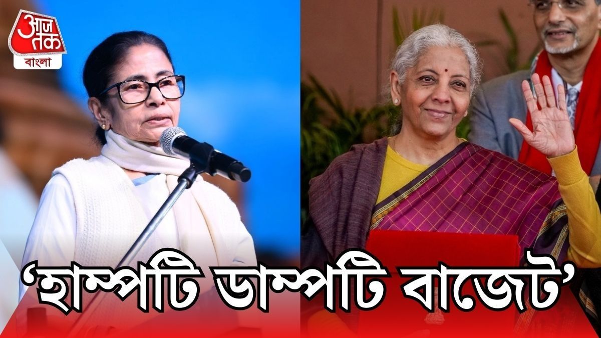 বাজেট নিয়ে কী বললেন মমতা? 