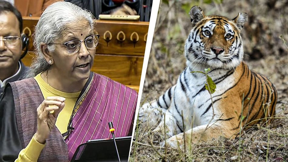 এবার বাঘেদের জন্য ৯৫টি দেশের 'জোট', ভারতে বসবে বিরাট আসর এবার বাঘেদের জন্য ৯৫টি দেশের 'জোট', ভারতে বসবে বিরাট আসর