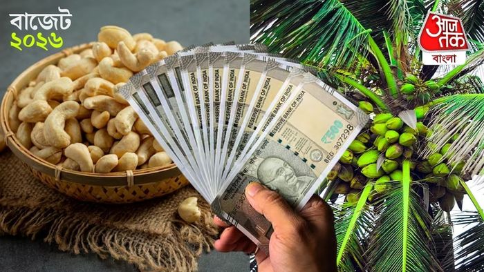 কৃষি ক্ষেত্রে বাজেট ২০২৬