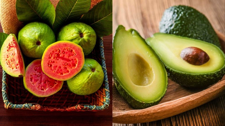 অ্যাভোকাডো নাকি দেশি পেয়ারা? কোনটি বেশি উপকারী অ্যাভোকাডো নাকি দেশি পেয়ারা? কোনটি বেশি উপকারী
