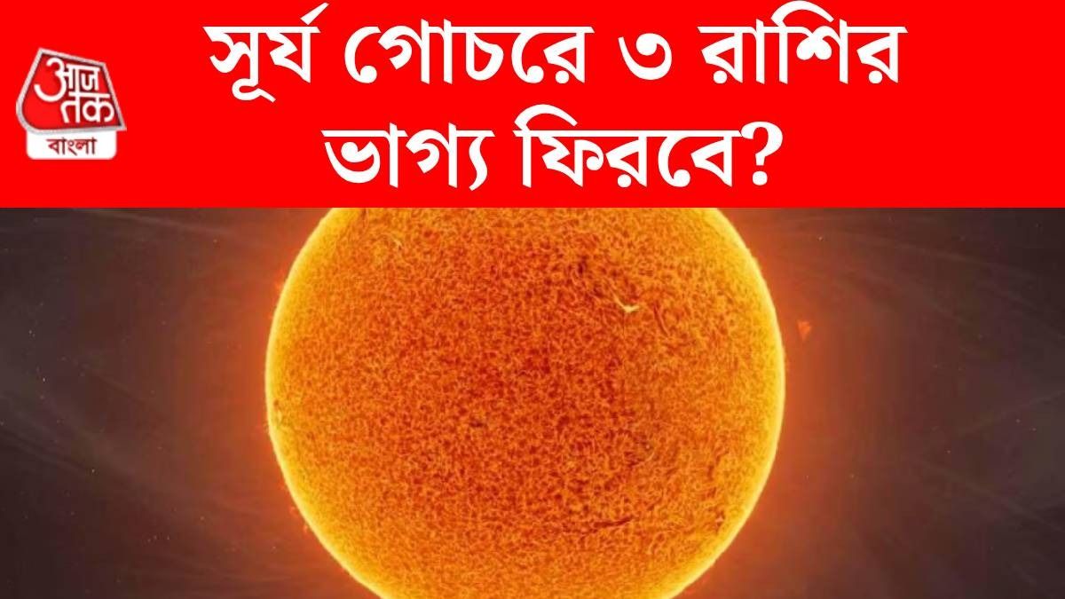 ৬ ফেব্রুয়ারি থেকে চাকরি, ব্যবসায় উন্নতি ৩ রাশির, সূর্যের গোচর করবে মালামাল