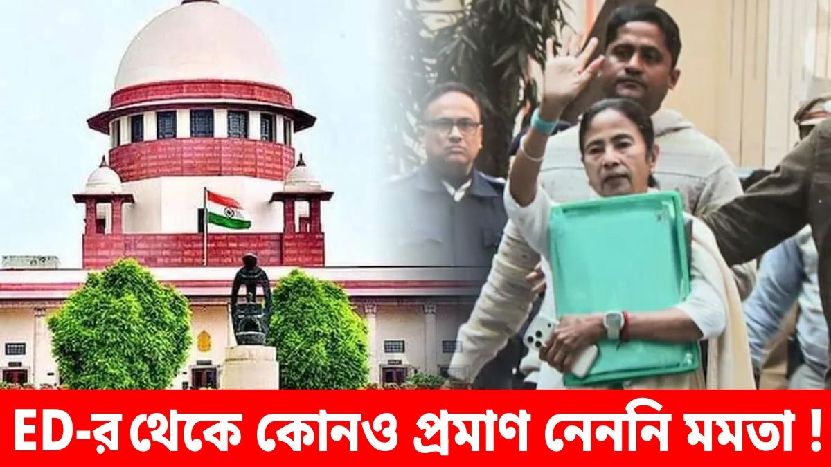 সে দিন ED-র সঙ্গে কী হয়েছিল? I-PAC কাণ্ডে সুপ্রিম কোর্টে যা জানালেন মমতা