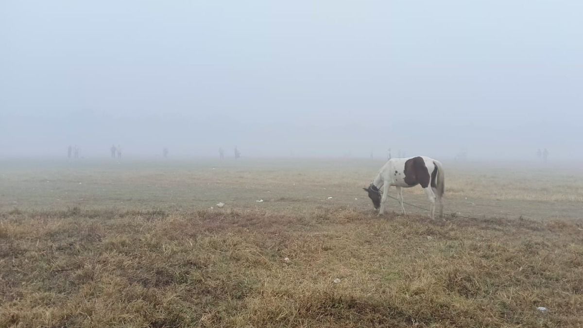 রাজ্যজুড়ে থাকবে শীতের আমেজ
