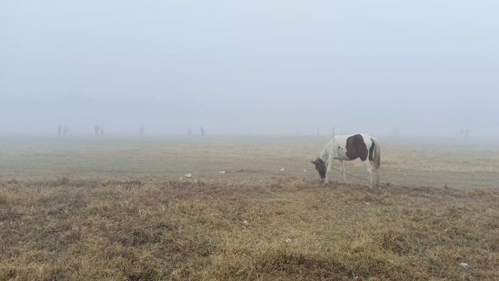 রাজ্যজুড়ে থাকবে শীতের আমেজ