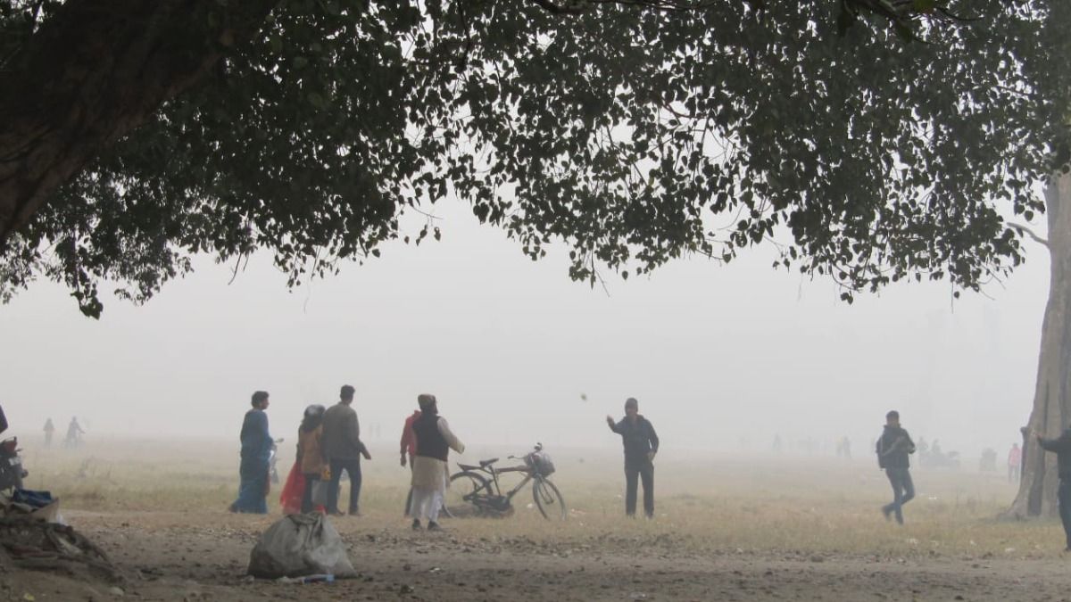 ফেব্রুয়ারিতেও শীতের দাপট, আগামী ৫ দিনে কেমন থাকবে আবহাওয়া?