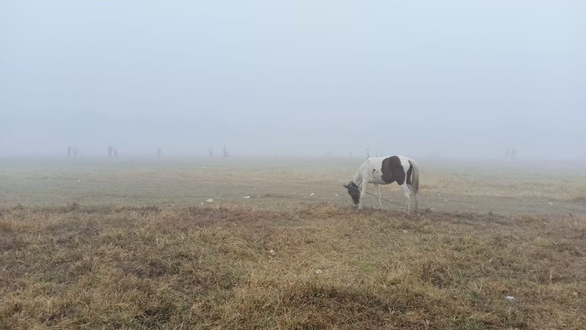 কবে থেকে রাজ্যে বাড়বে তাপমাত্রা, শীত বিদায়ের পূর্বাভাস শোনাল হাওয়া অফিস