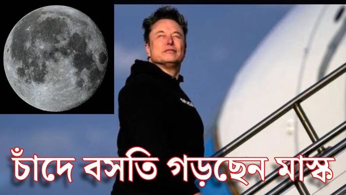 ইলন মাস্ক