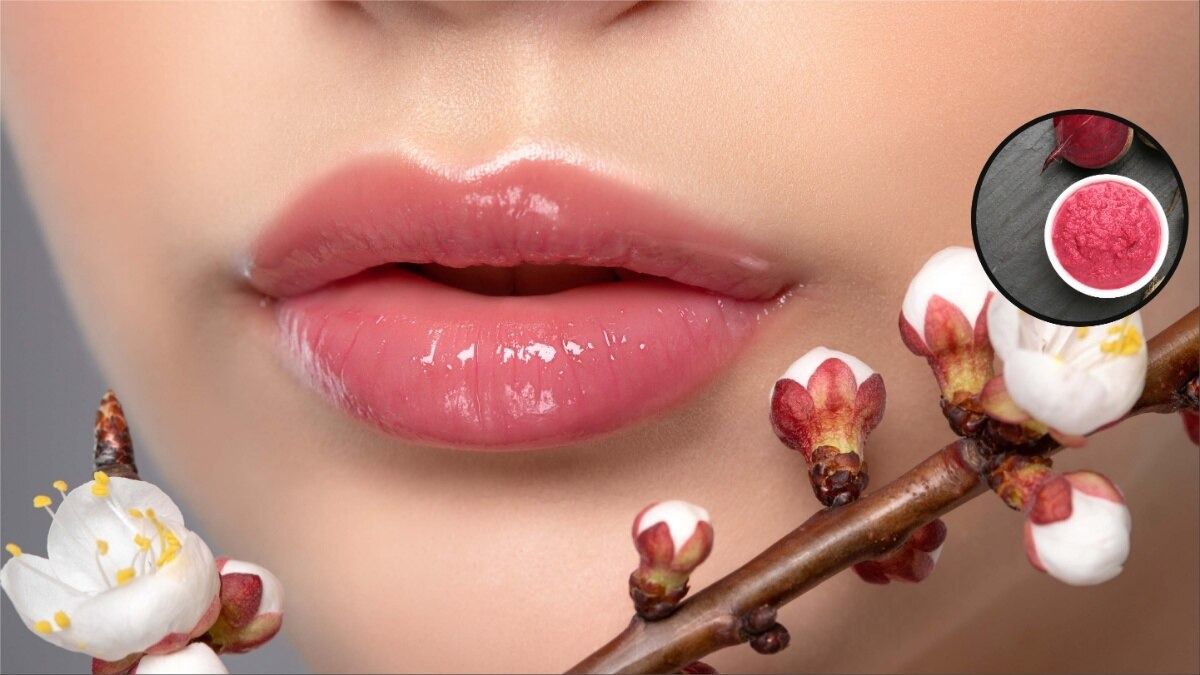 প্রতীকী ছবি 